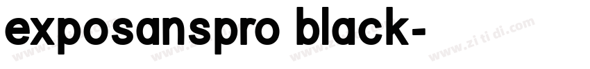 exposanspro black字体转换
